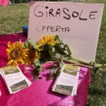 Il Campo del Cuore 2026 - Raccolta Girasoli | Sostegno Associazione Cuore di Donna