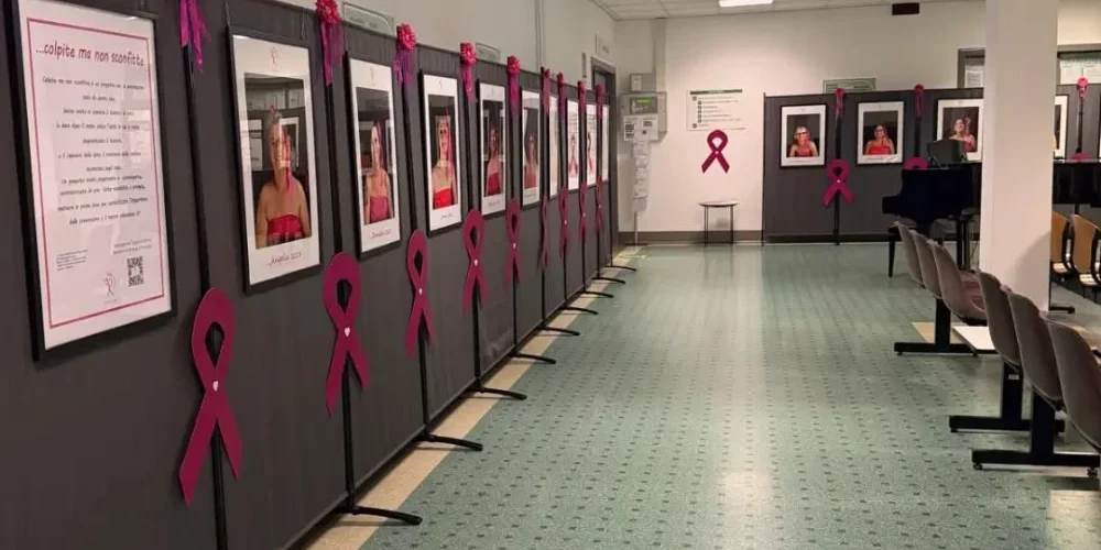 Inaugurata la mostra “Colpite ma non sconfitte” | Galleria | Ottobre Rosa a Gussago | Cuore di Donna Inaugurata la mostra “Colpite ma non sconfitte” | Galleria | Ottobre Rosa a Gussago | Cuore di Donna