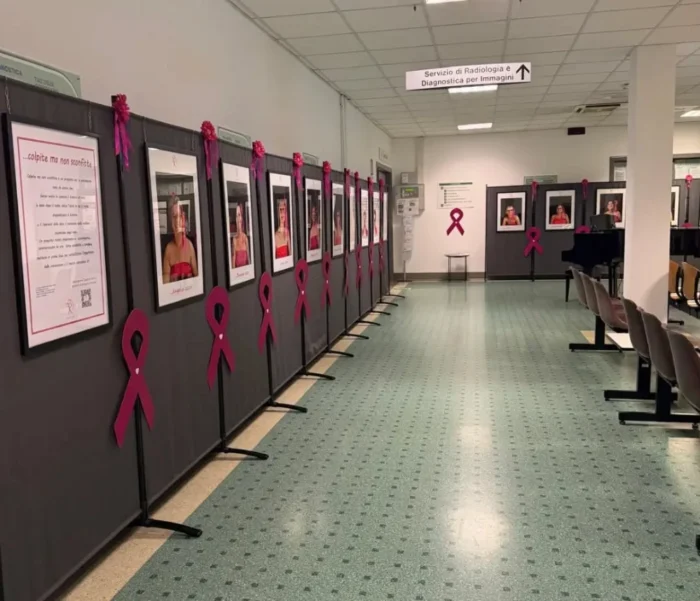 Inaugurata la mostra “Colpite ma non sconfitte” | Galleria | Ottobre Rosa a Gussago | Cuore di Donna